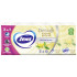 Zewa Deluxe servetele de buzunar Spirit of Tea 3 str. N10x10