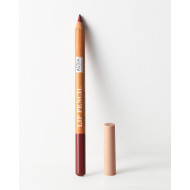 Astra Creion p/u buze Pure Beauty 06-Cherry Tree 1,1g