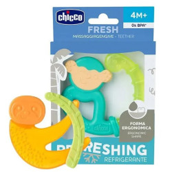 CHICCO gingiera frigorifica 4M+ Mix 2813030