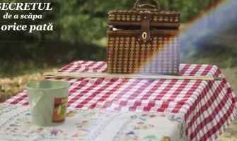 Afla secretul indepartarii celor mai dificile pete